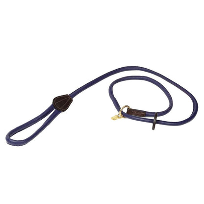 Shires Digby & Fox Rolled Leather Slip Dog Lead