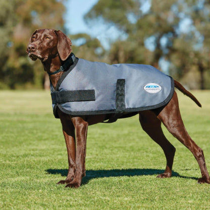 Weatherbeeta ComFiTec Classic Dog Coat