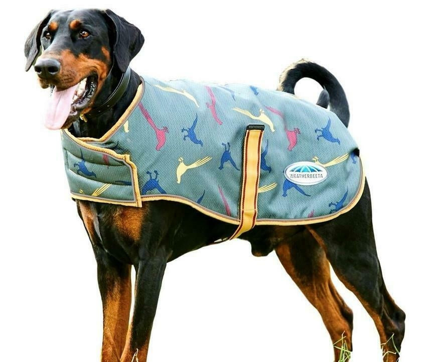 Weatherbeeta ComFiTec Premier Free Parka Dog Coat