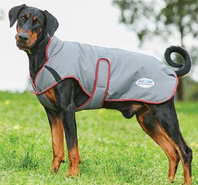 Weatherbeeta ComFiTec Premier Free Parka Deluxe Dog Coat