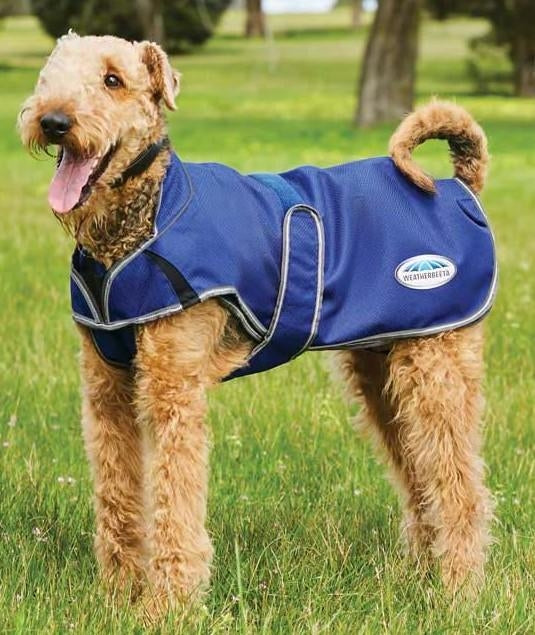 Weatherbeeta ComFiTec Premier Free Parka Deluxe Dog Coat