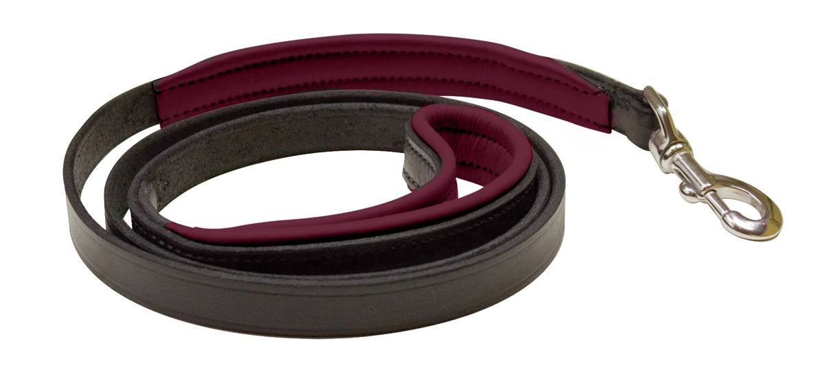 Perri's Padded Leather Dog Leash