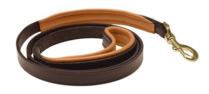 Perri's Padded Leather Dog Leash