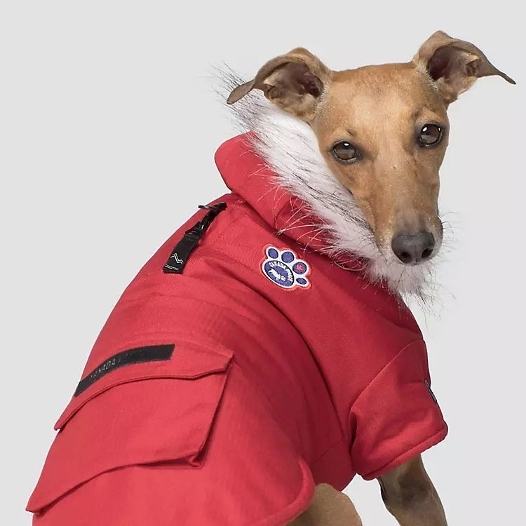 Canada Pooch Winter Wilderness Dog Parka