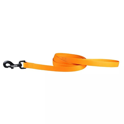 Carnival Waterproof Dog Leash