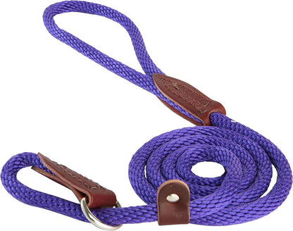 Slip Lead for Dogs