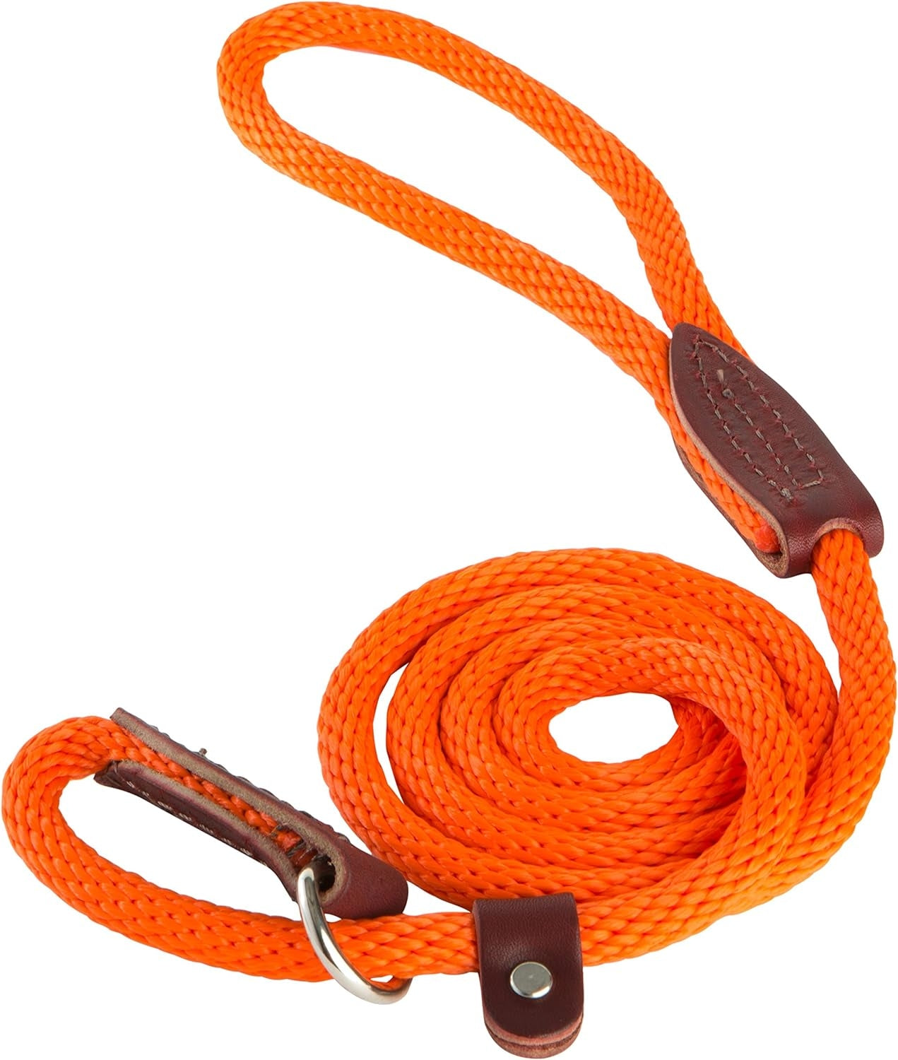 Slip Lead for Dogs