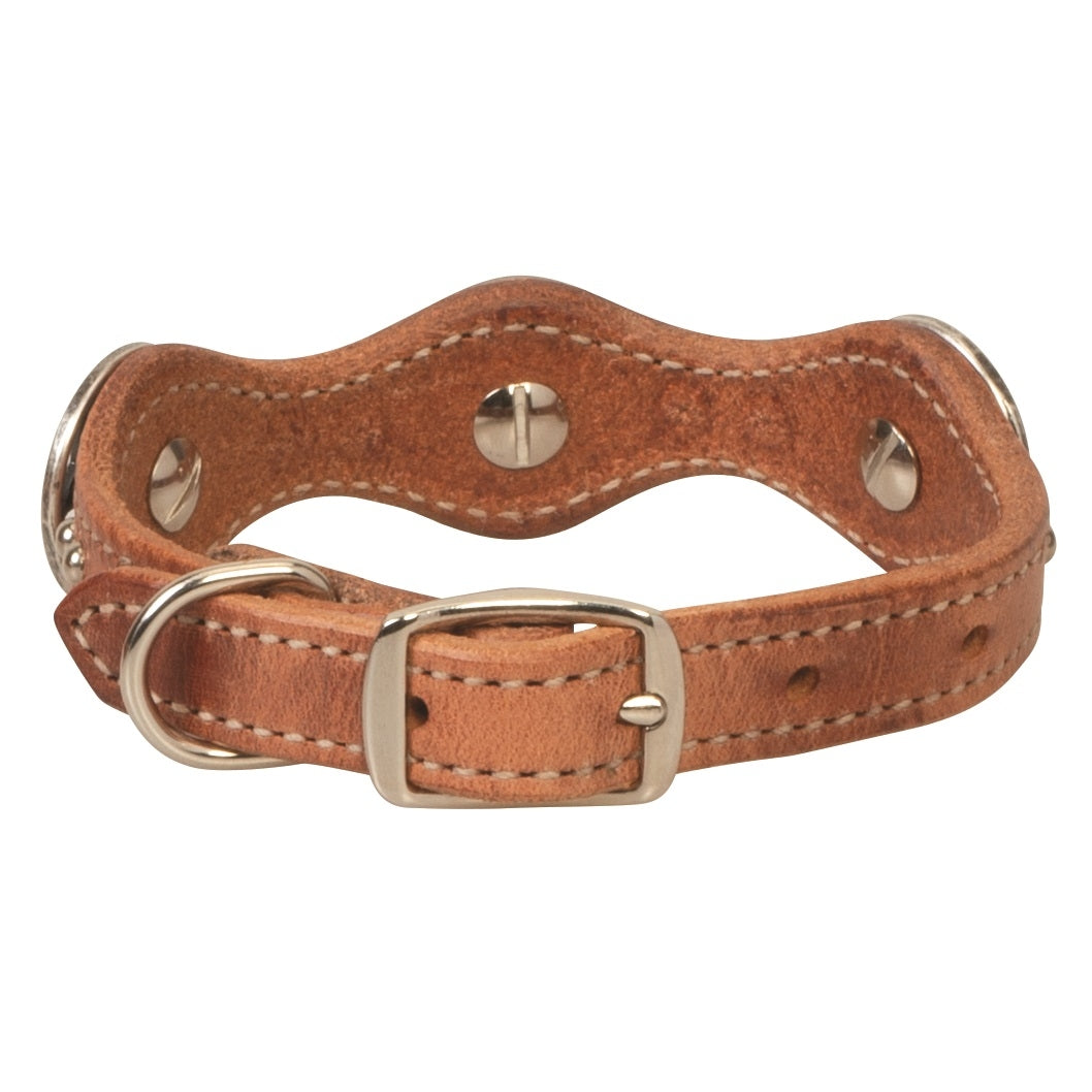 Weaver Texas Star Dog Collar