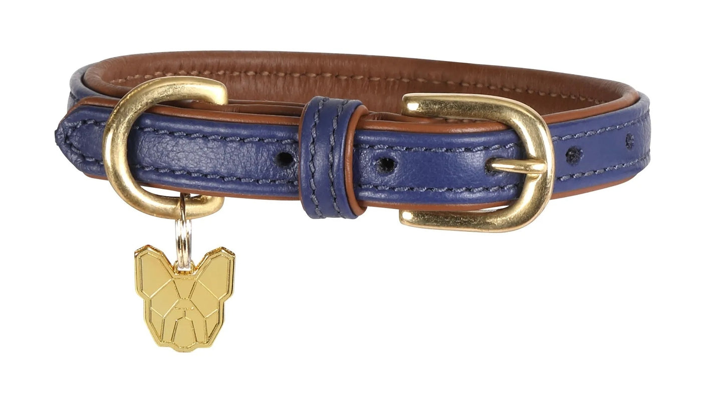 Shires Digby & Fox Padded Leather Dog Collar