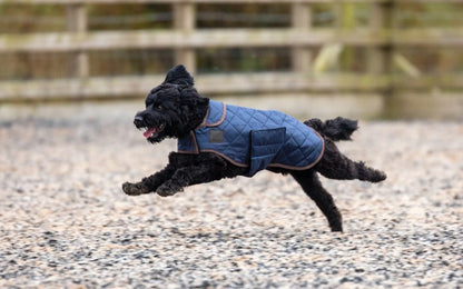 Shires Digby & Fox Quilted Dog Coat