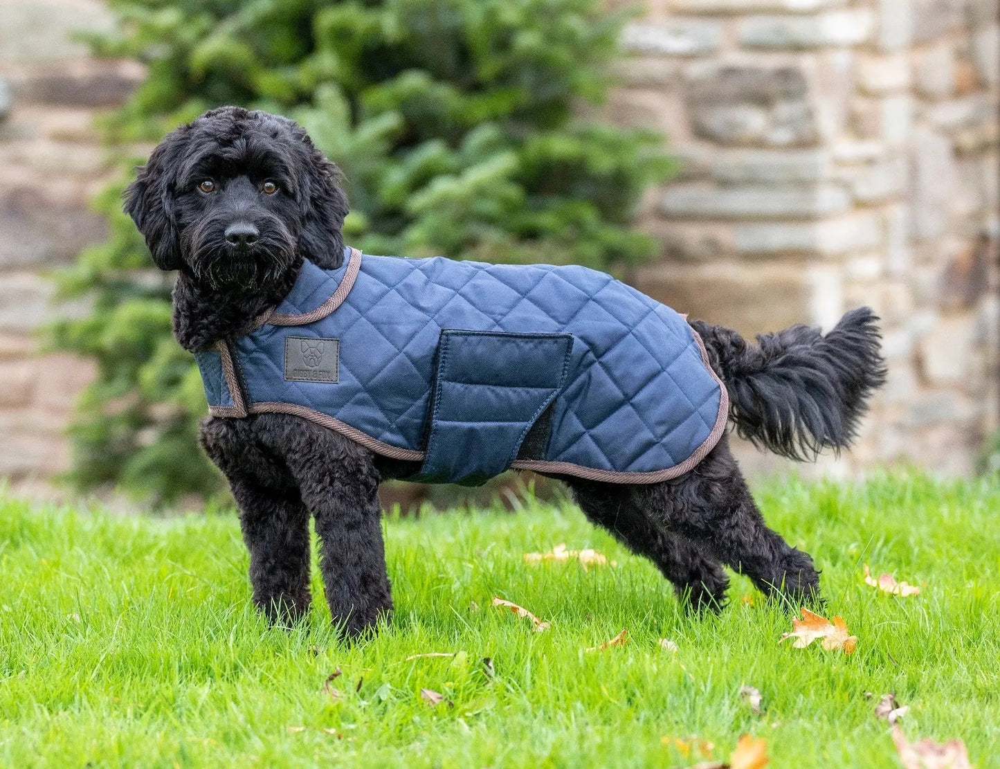 Shires Digby & Fox Quilted Dog Coat