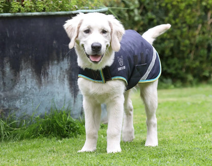 Shires Digby & Fox Waterproof Dog Coat