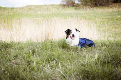 Back On Track Cool on Track Dog Coat