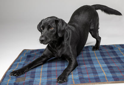 Shires Digby & Fox Tweed Blanket