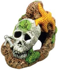 Skull With Starfish Aquarium Ornament