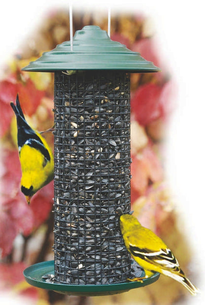 Minimagnum Sunflower Feeder