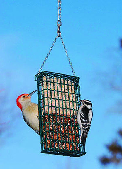 Droll Yankees Double Suet Bird Feeder