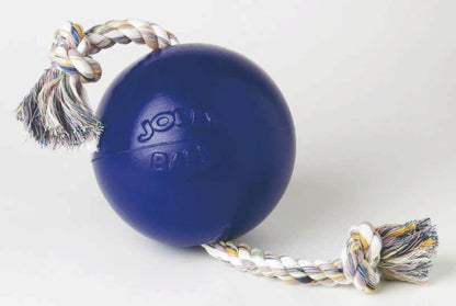 Jolly Pets Romp-N-Roll Ball