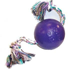 Jolly Pets Romp-N-Roll Ball