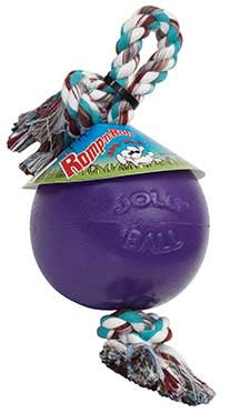 Jolly Pets Romp-N-Roll Ball