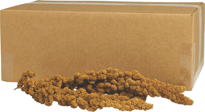 Gold Millet Spray Bulk bird seed