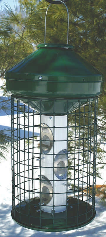 Avian Series Bird Feeder Mixed