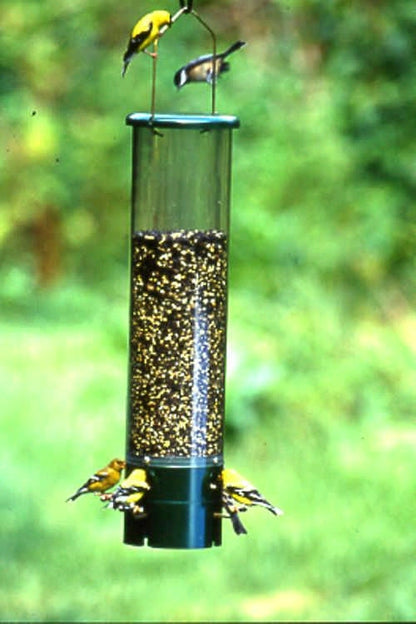 Bouncer Squirrel Proof Bird Feeder