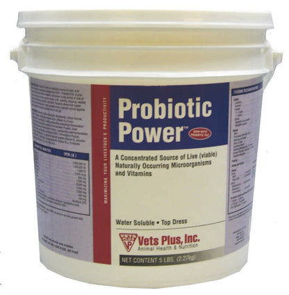 Lacto Powder Probiotic