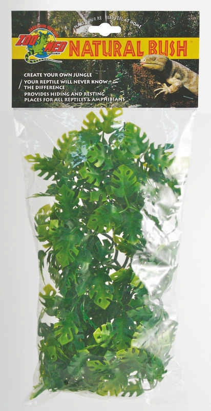 Plant Amazon Phyllos