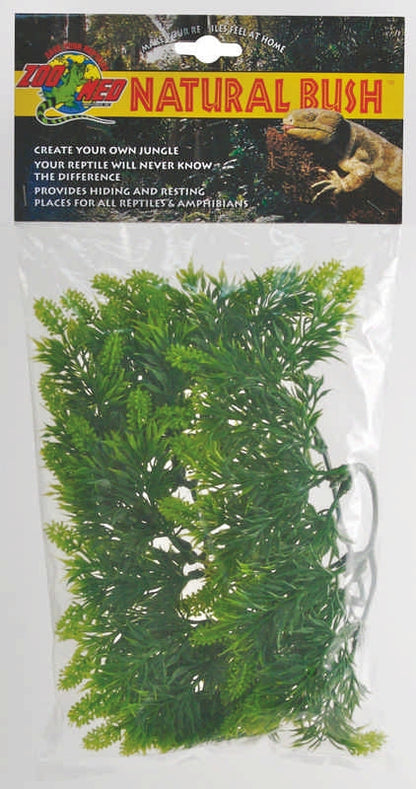 Plant Malaysian Fern