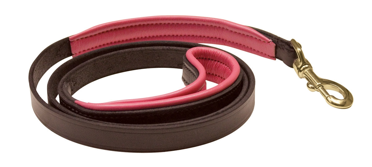 Perri's Padded Leather Dog Leash