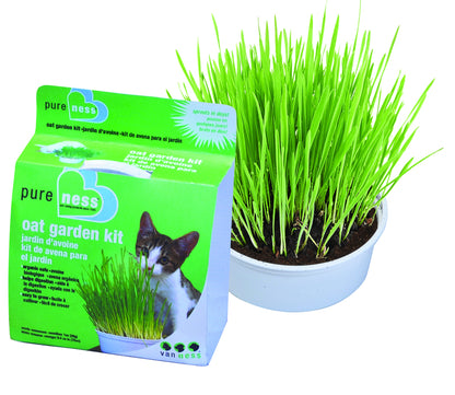 Oat Cat Grass Garden Kit