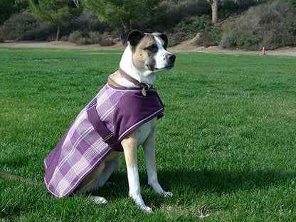 Kensington Signature Dog Coat