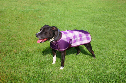 Kensington Signature Dog Coat