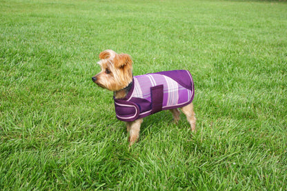 Kensington Signature Dog Coat