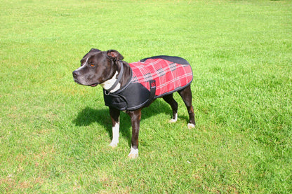 Kensington Signature Dog Coat