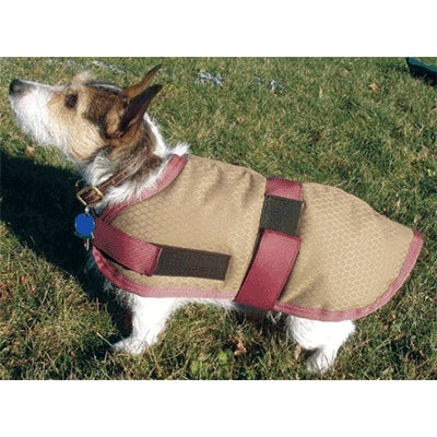 High Spirit Waterproof Insulated Dog Blanket