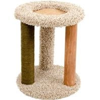 Kitty Carpet Playground-N-Lounge