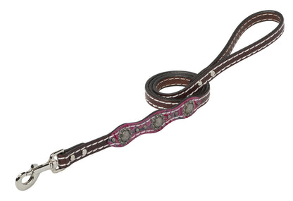 Weaver Vintage Paisley Leash