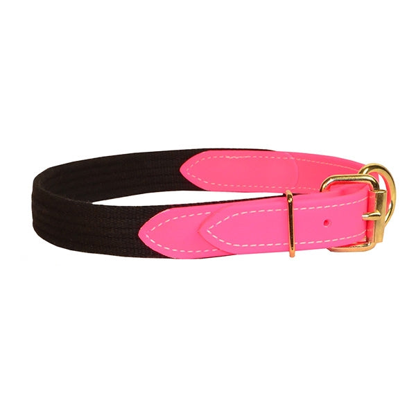 Perri's Beta/Cotton Dog Collar