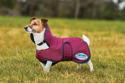 Weatherbeeta 420D Dog Windbreaker Fleece Lined with Belly Wrap