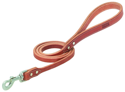 Weaver Hybrid Leash -Canyon Rose