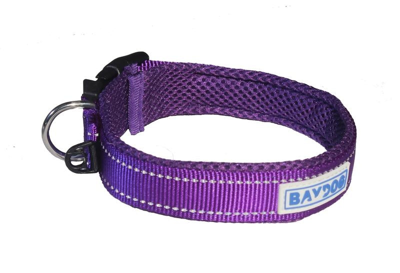 Baydog Tampa Bay Dog Collar