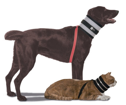 BiteNot Collar for Dogs and Cats