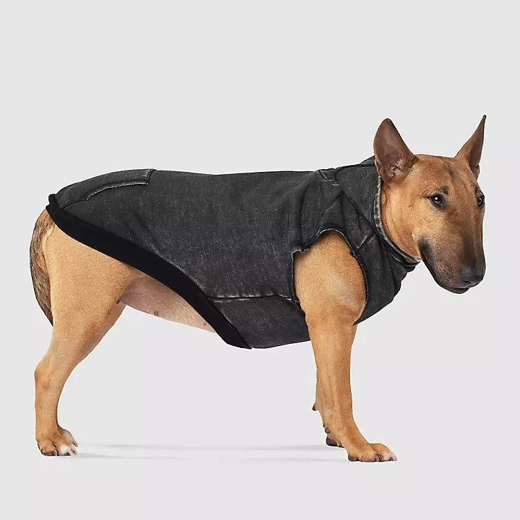 Canada Pooch No Authority Dog Hoodie