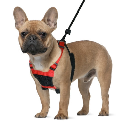 Sporn Non-Pull Mesh Dog Harness