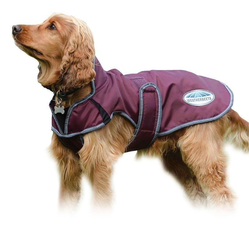 Weatherbeeta ComFiTec Windbreaker Free Deluxe Dog Coat