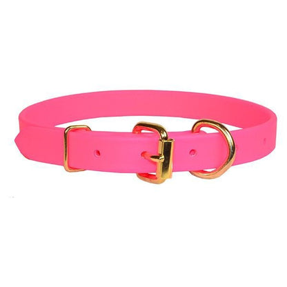 Perri's Beta Dog Collar