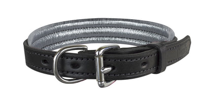 Perri's Metallic Padded Leather Dog Collar