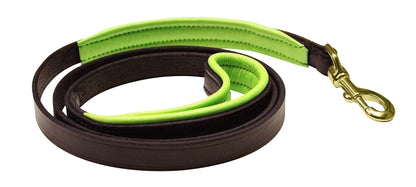 Perri's Padded Leather Dog Leash